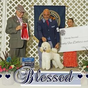 Meet your Posher, Adriano